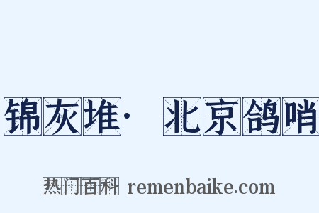 锦灰堆·北京鸽哨是什么意思的图片